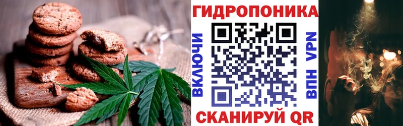 мориарти какой сайт  цены   Черноголовка  Canna-Cookies конопля 