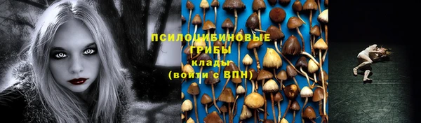 гидра Белокуриха