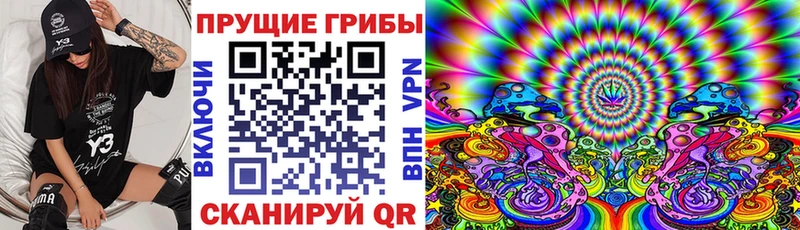 Галлюциногенные грибы мухоморы  где купить наркотик  OMG ONION  Черноголовка 